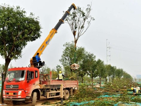 Beijing Garden Road Greening